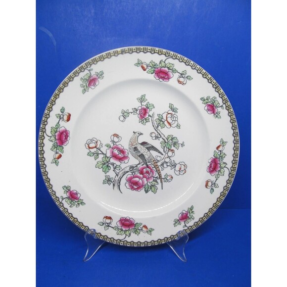 F. Winkle & Co. Wheildon Ware Pheasant Pattern Antique 10 1/2" Dinner Plate READ - Picture 1 of 7